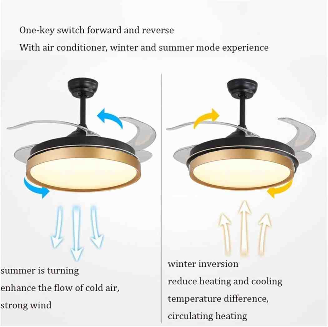 Foldable Fan