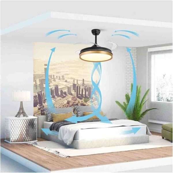 Foldable Fan